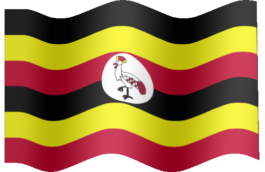 iBM Building Material suppliers in Uganda